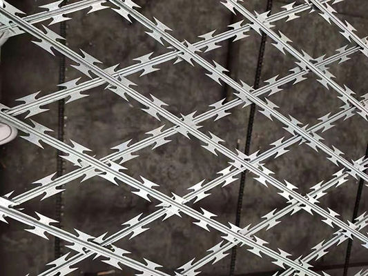 DIN1.4301 Malha de arame AISI304 Razor Mesh vedação personalizada